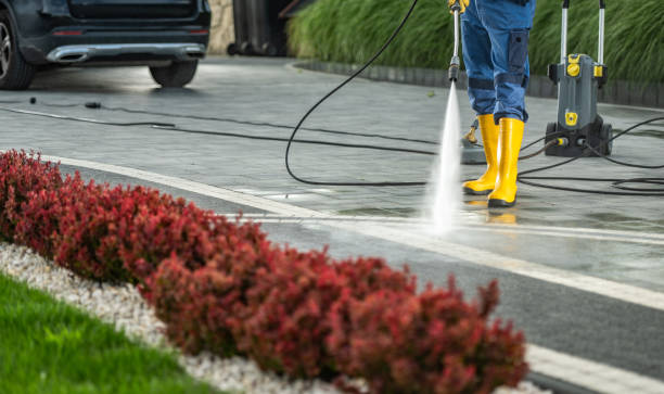 Best Affordable Pressure Washing  in USA